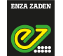 Enza Zaden