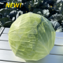 Капуста белокочанная, Brassica albus, Дербент F1