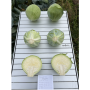 Капуста белокочанная, Brassica albus, Маркони F1