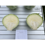 Капуста белокочанная, Brassica albus, Маркони F1
